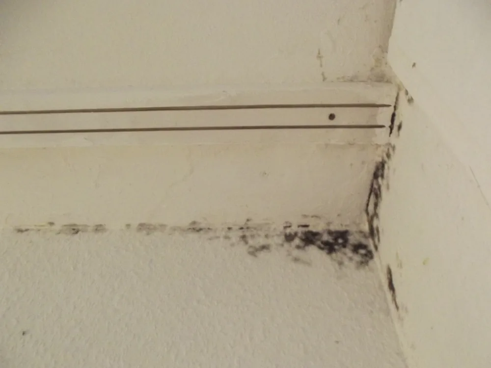 Technician in protective gear removing a mold-damaged wall in a Rancho Santa Fe home